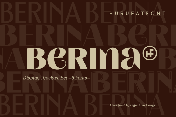 Berina Minimal Display Font for Clean Business Branding